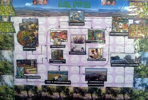 Sainsbury's Top of the Class groups' winning posters depicting the fruit supply chain
